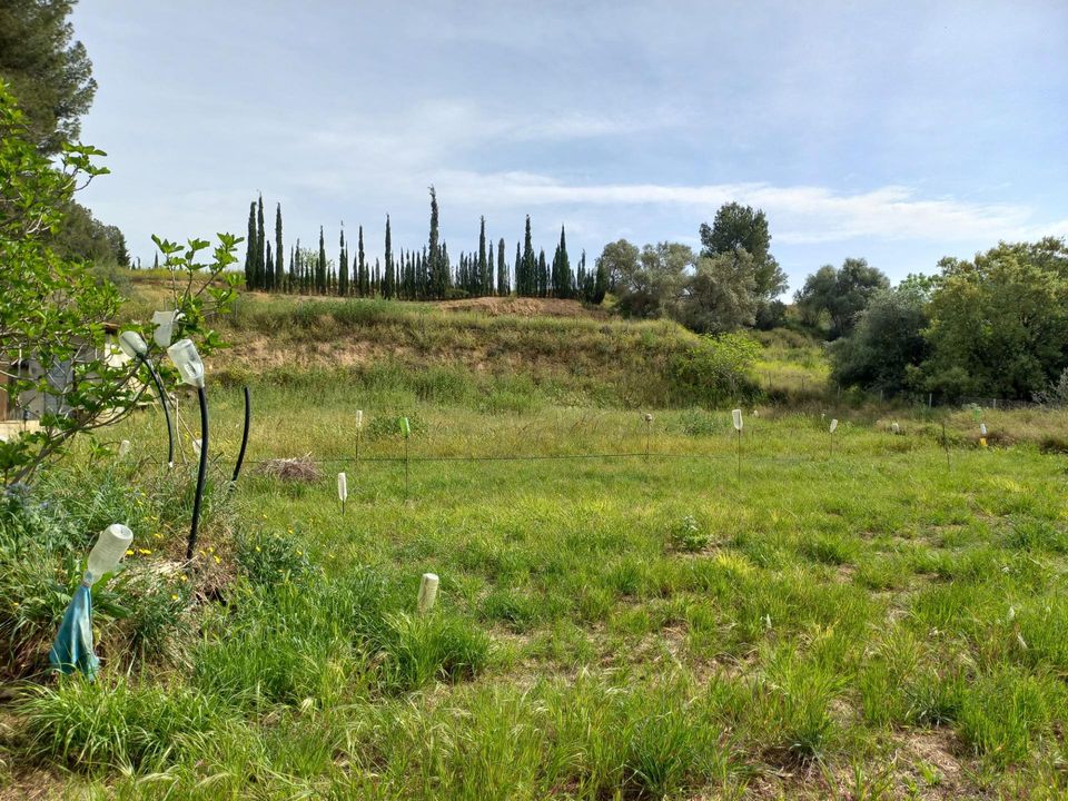 Helårsgrund i Ginestar, Tarragona - foto 1
