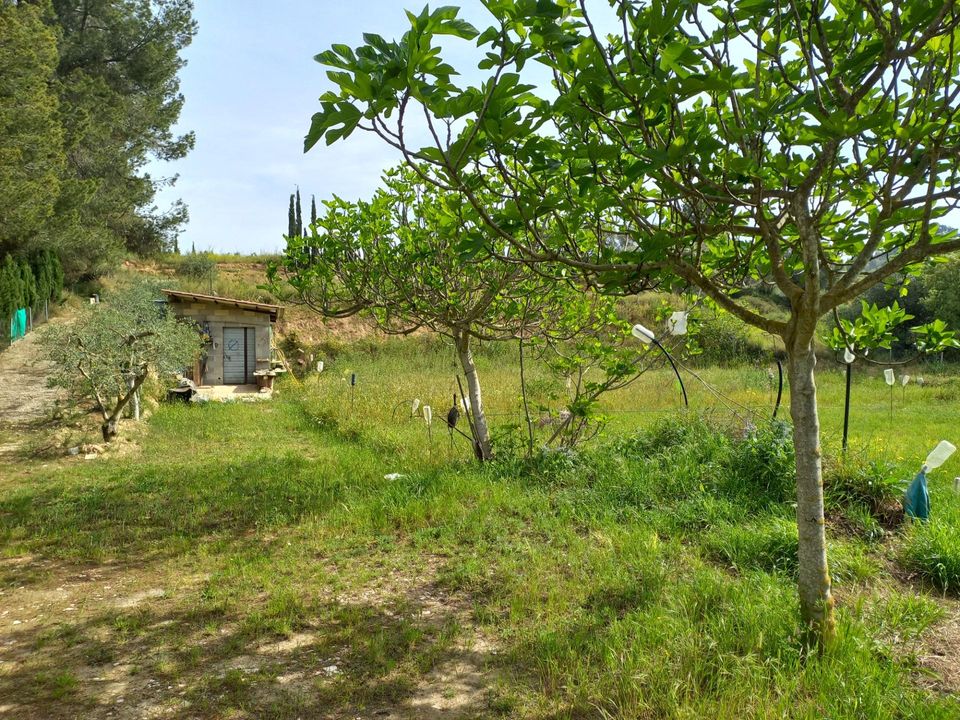 Helårsgrund i Ginestar, Tarragona - foto 2