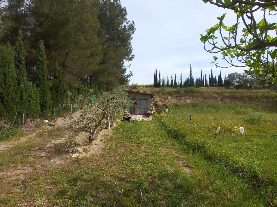 Helårsgrund i Ginestar, Tarragona - foto 5