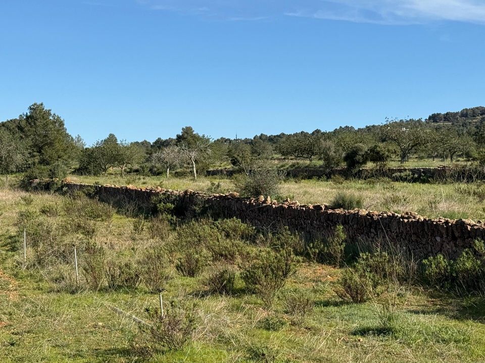 Helårsgrund i San Antonio De Portmany, Ibiza - foto 4