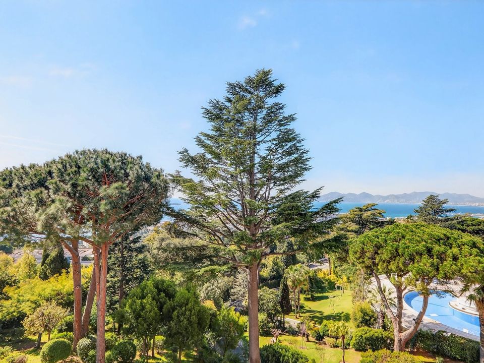 Lejlighed i Cannes, Alpes-Maritimes - foto 5