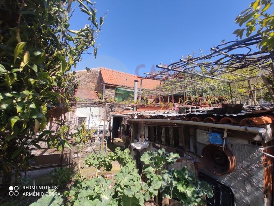 Farm i Arganil, Coimbra - foto 3