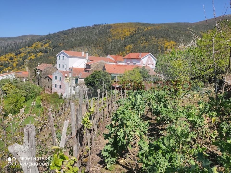 Farm i Arganil, Coimbra - foto 5