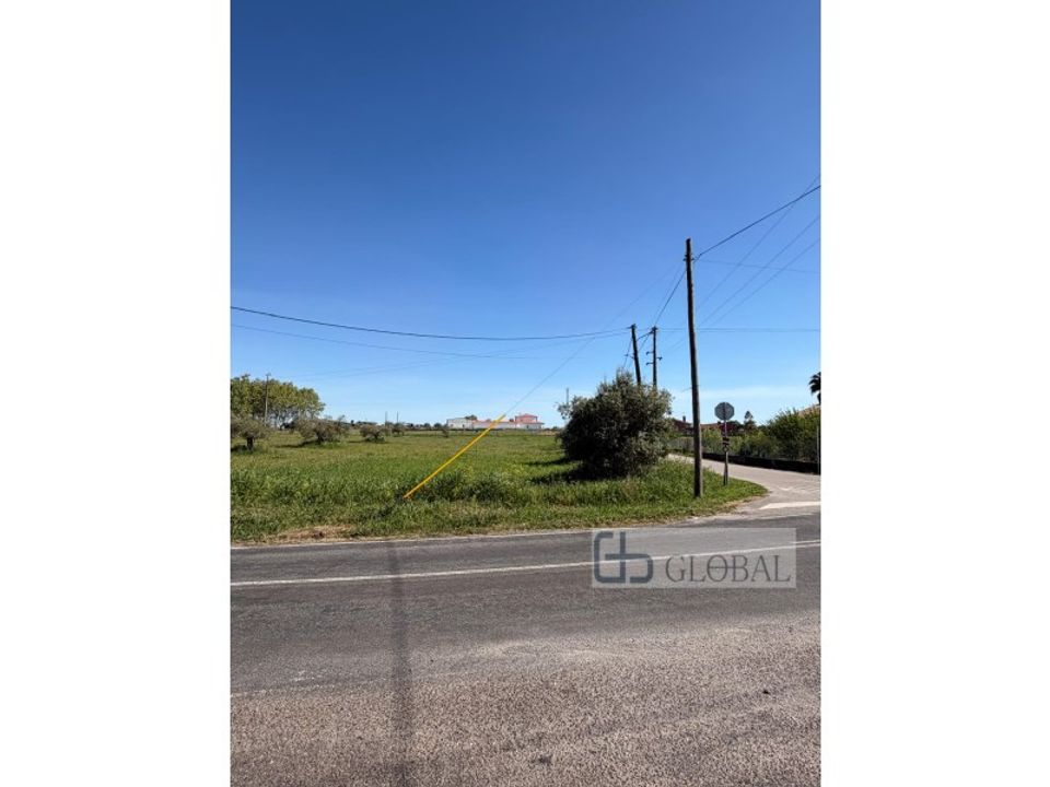 Helårsgrund i Vale de Santarem, Santarem - foto 3