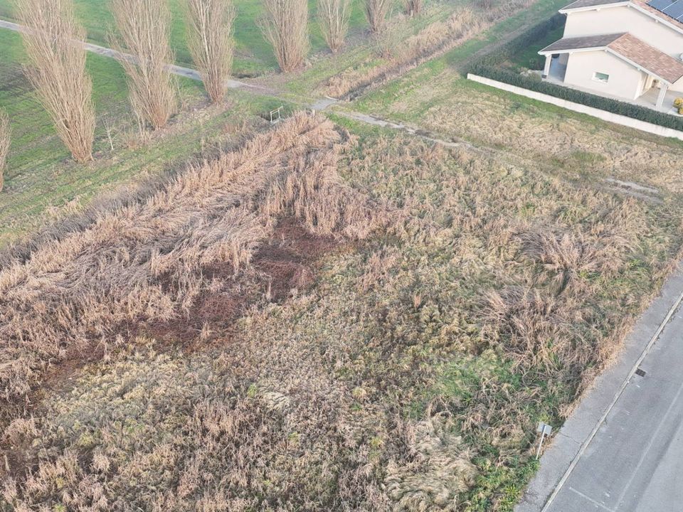 Helårsgrund i Alfianello, Brescia - foto 3