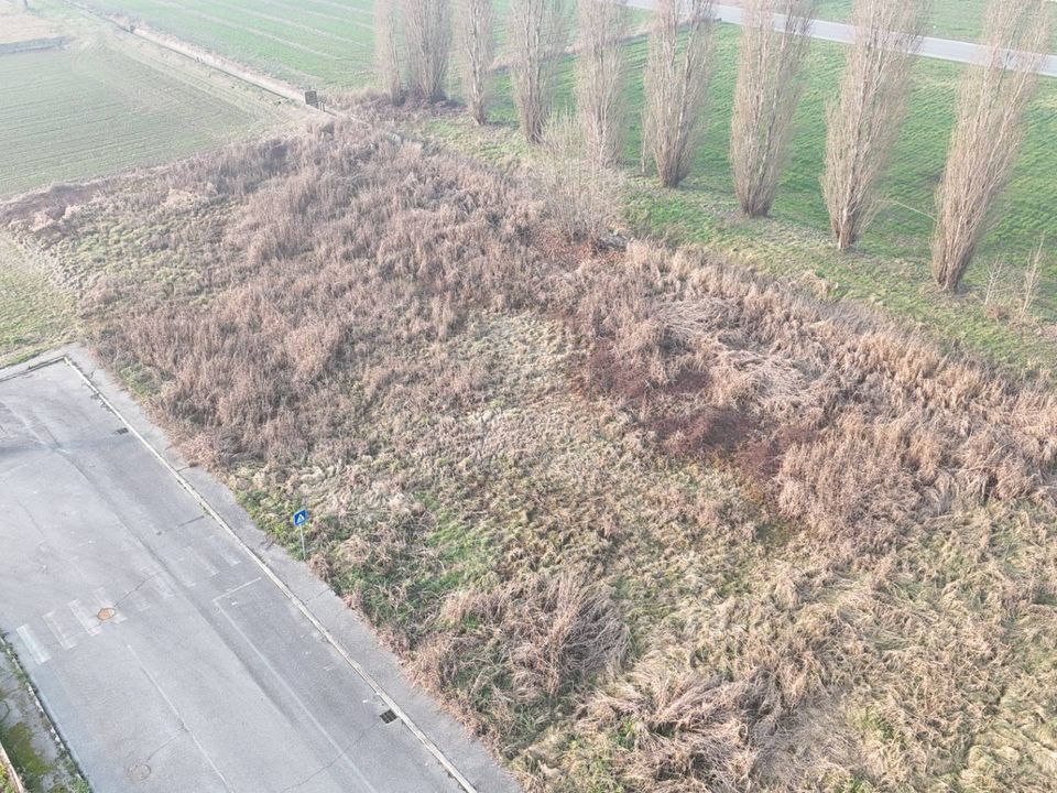 Helårsgrund i Alfianello, Brescia - foto 4