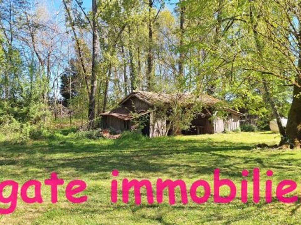 Villa i Captieux, Gironde - foto 3