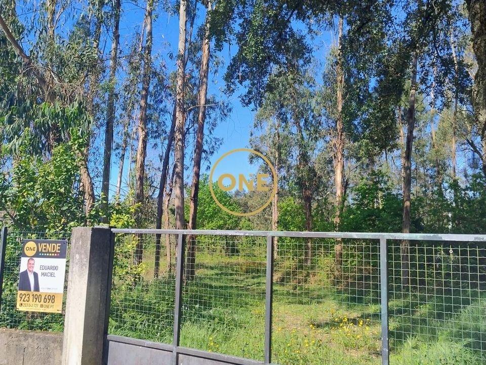 Helårsgrund i Vila Verde, Braga - foto 5