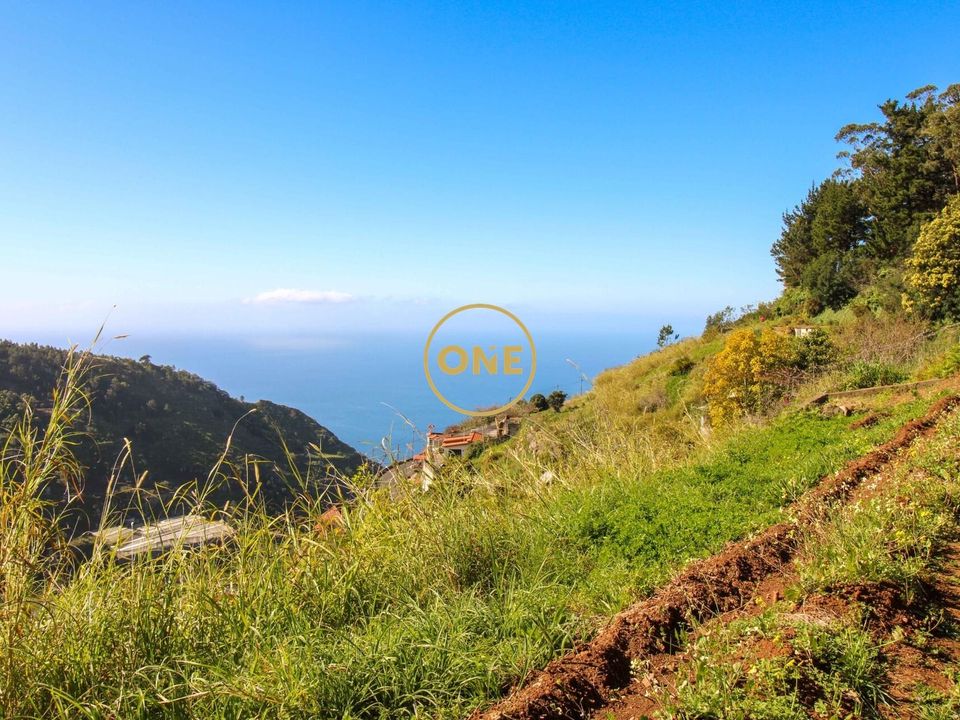 Helårsgrund i Camara de Lobos, Madeira - foto 1