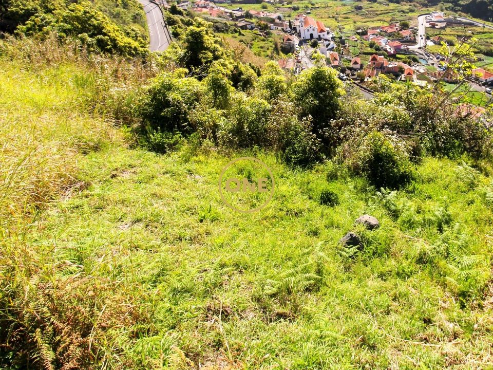 Helårsgrund i Camara de Lobos, Madeira - foto 3