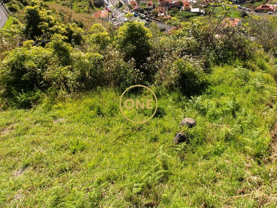 Helårsgrund i Camara de Lobos, Madeira - foto 4