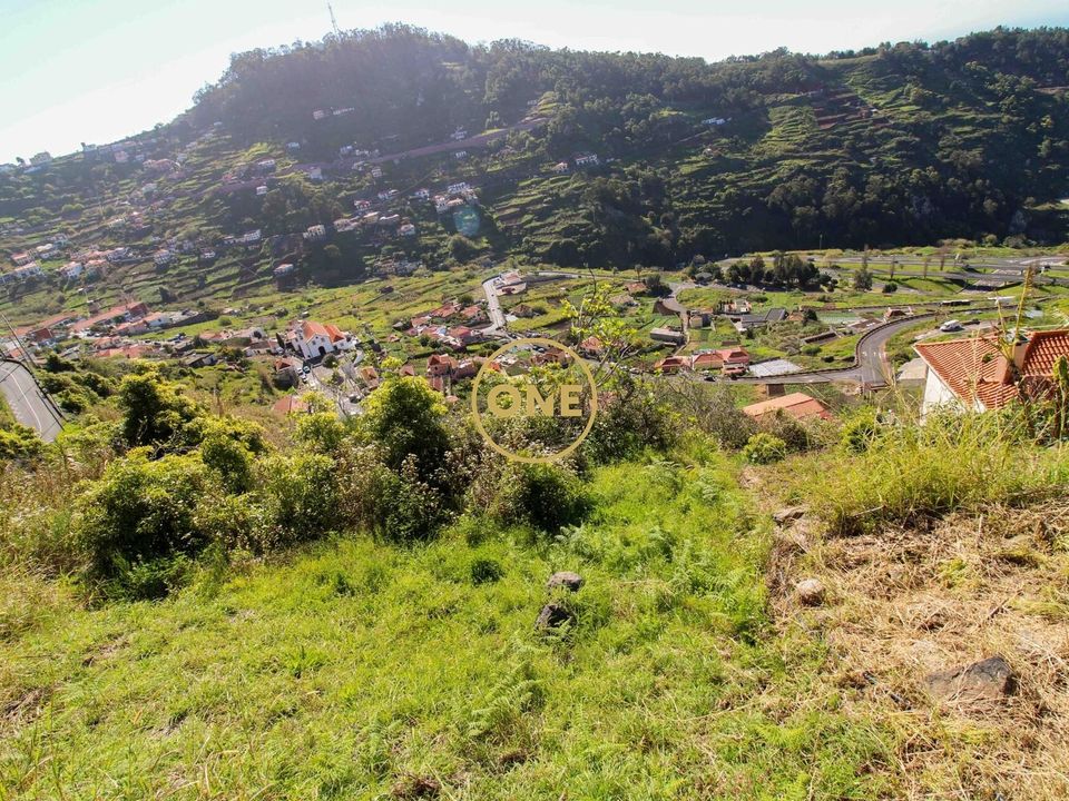 Helårsgrund i Camara de Lobos, Madeira - foto 5