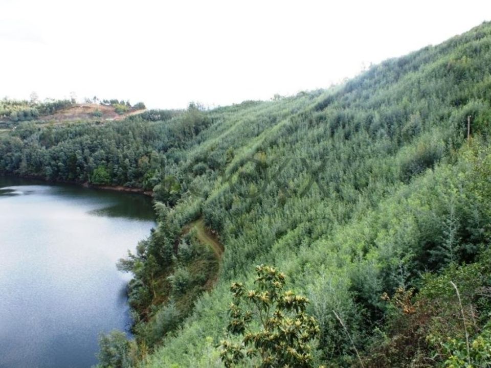 Terra a Penacova, Coimbra - foto 4