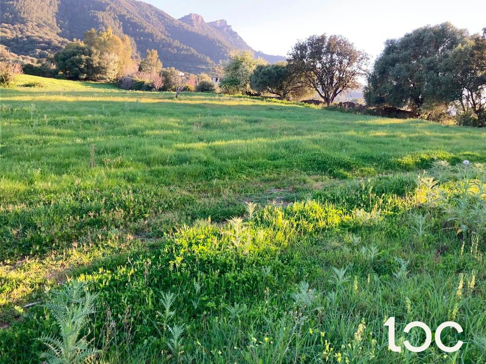 Helårsgrund i Torpe, Nuoro - foto 1