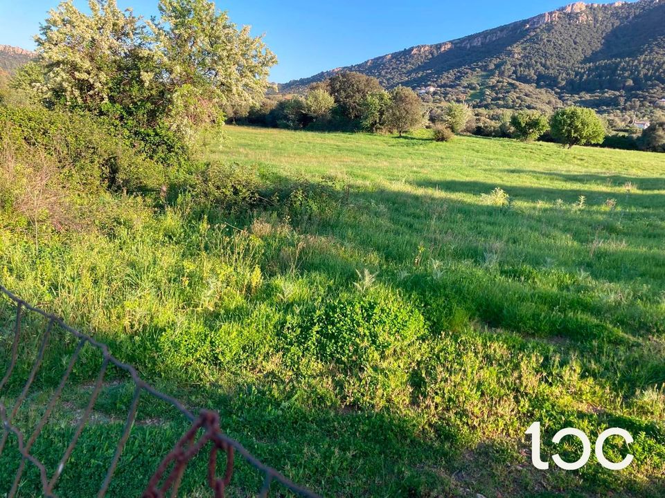 Helårsgrund i Torpe, Nuoro - foto 2