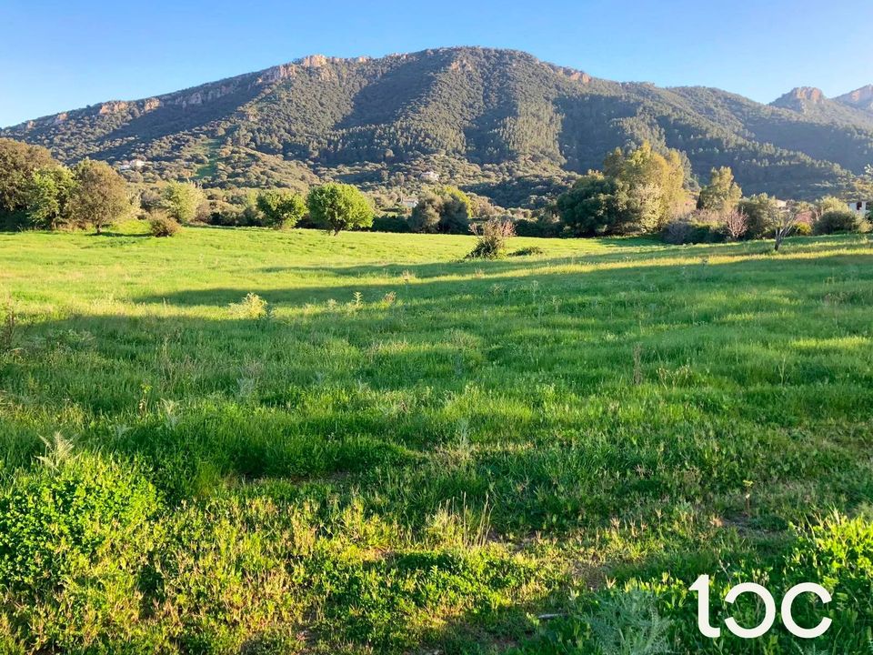 Helårsgrund i Torpe, Nuoro - foto 3