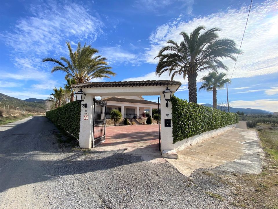 Landejendom i Sax, Alicante - foto 4
