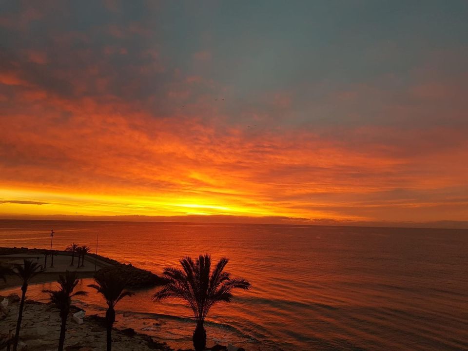 Lejlighed i Torrevieja, Alicante - foto 4