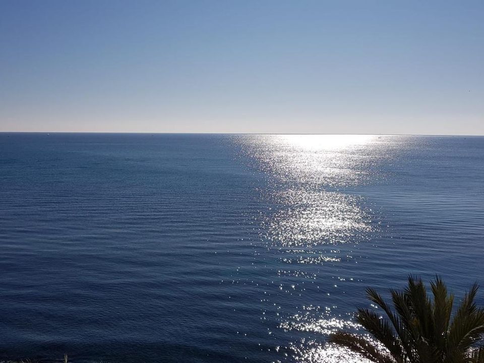 Lejlighed i Torrevieja, Alicante - foto 5