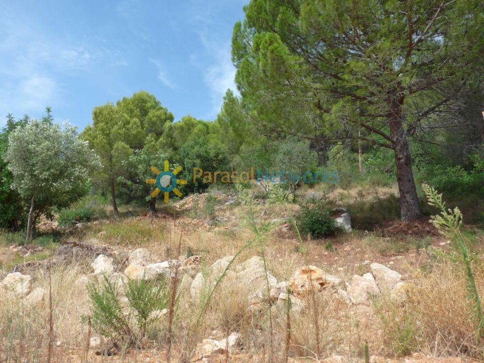 Helårsgrund i Real De Gandia, Valencia - foto 4