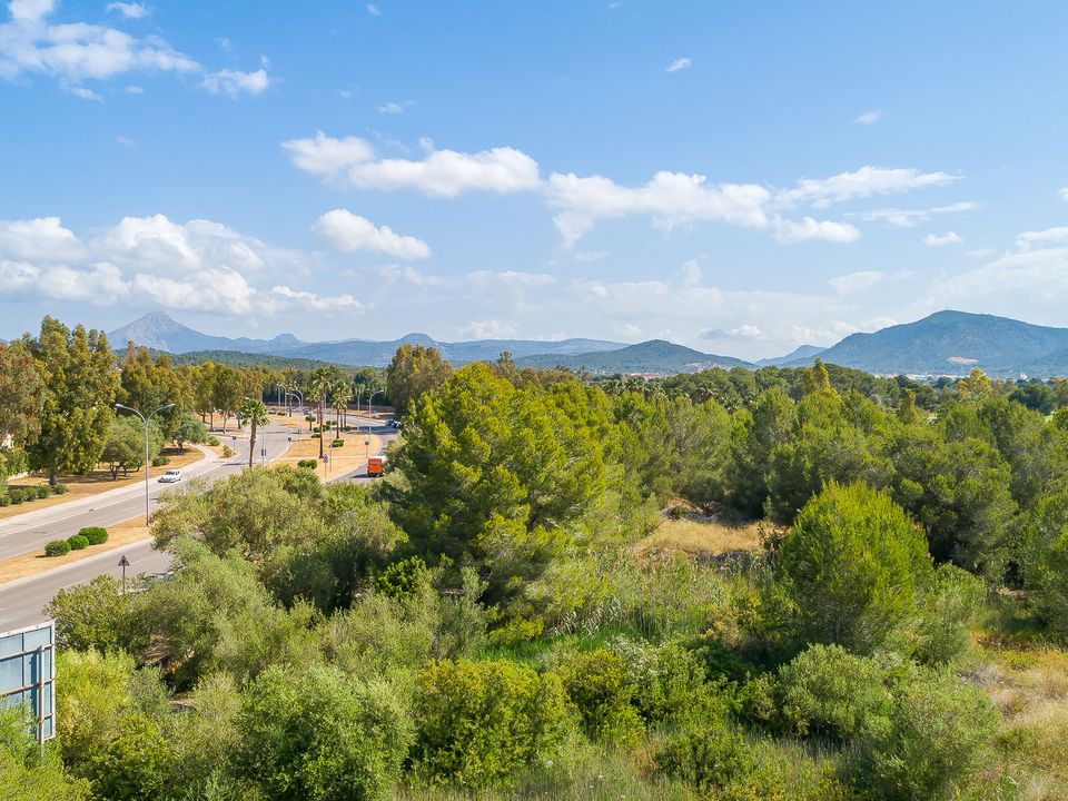 Helårsgrund i Santa Ponsa, Mallorca - foto 4