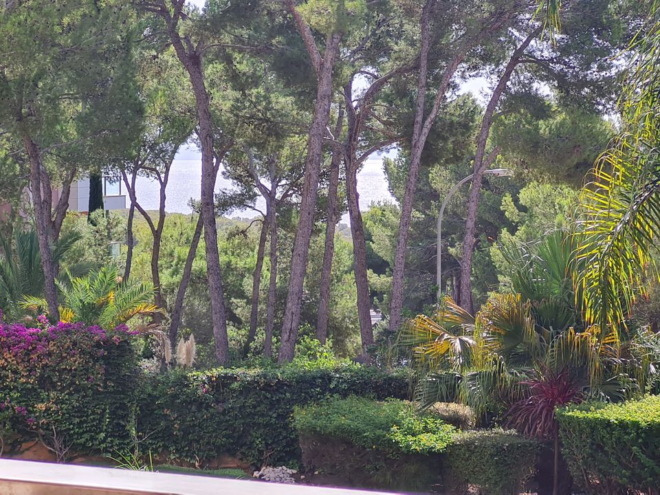 Leilighet i Sol De Mallorca, Mallorca - bilde 3
