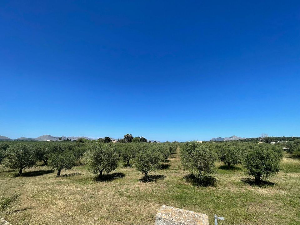 Helårsgrund i Alcudia, Mallorca - foto 2