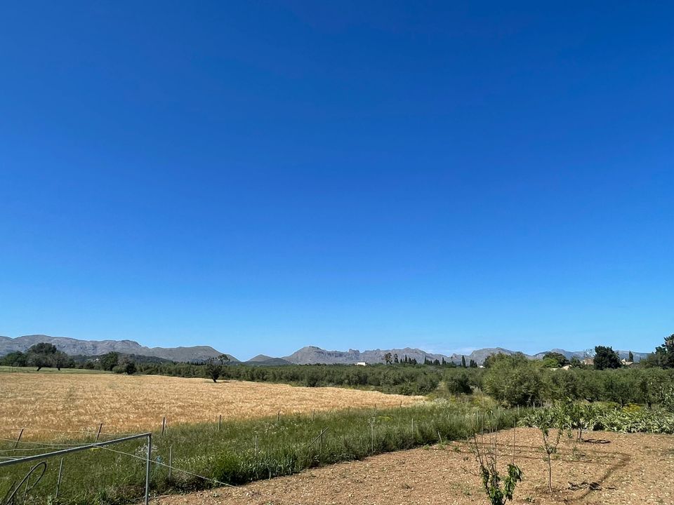 Helårsgrund i Alcudia, Mallorca - foto 4