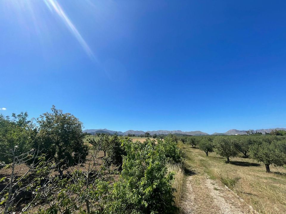Helårsgrund i Alcudia, Mallorca - foto 5