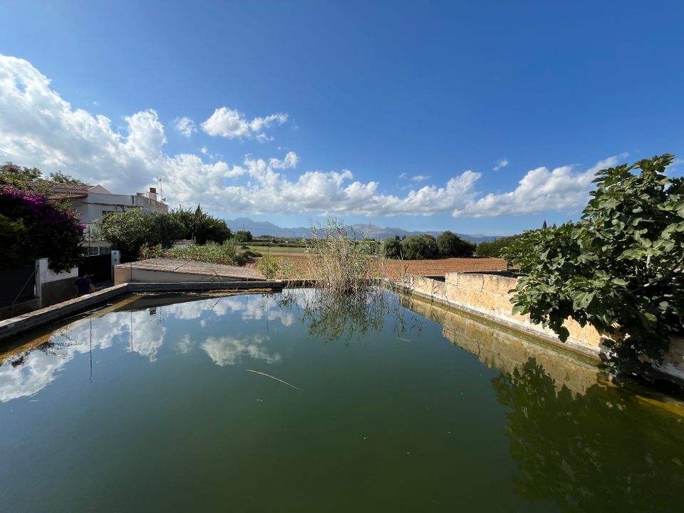 Terra a Muro, Mallorca - foto 4