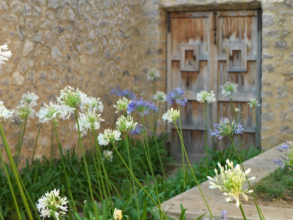Country house in Arta, Mallorca - photo 2
