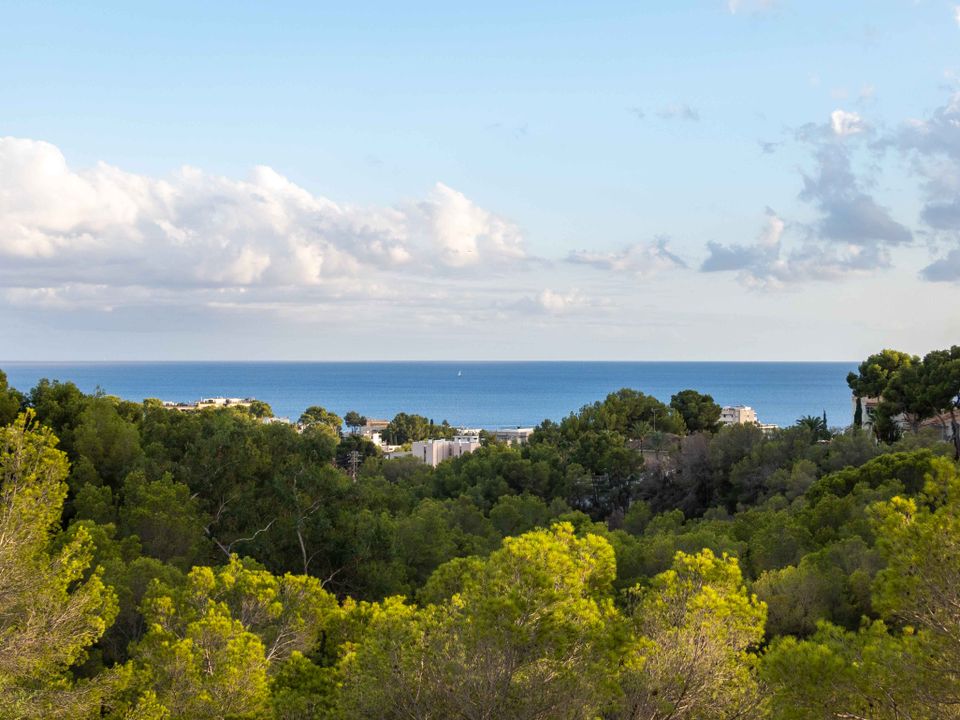 Villa i Costa D'en Blanes, Mallorca - foto 3