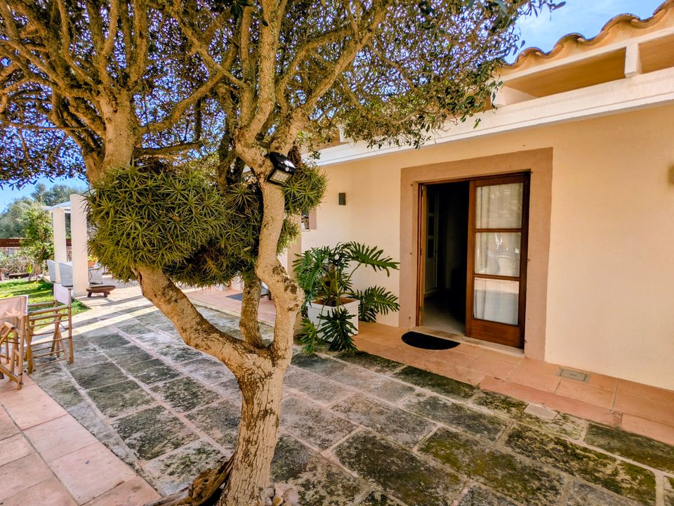 Landejendom i Santanyi, Mallorca - foto 5