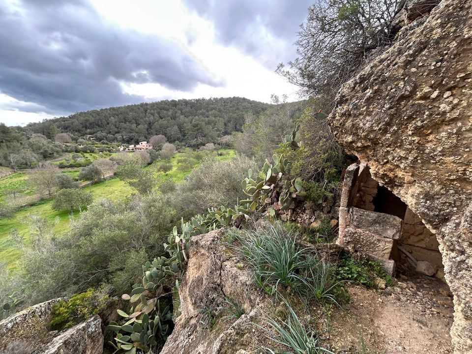 Masia a Santa Eugenia, Mallorca - foto 2