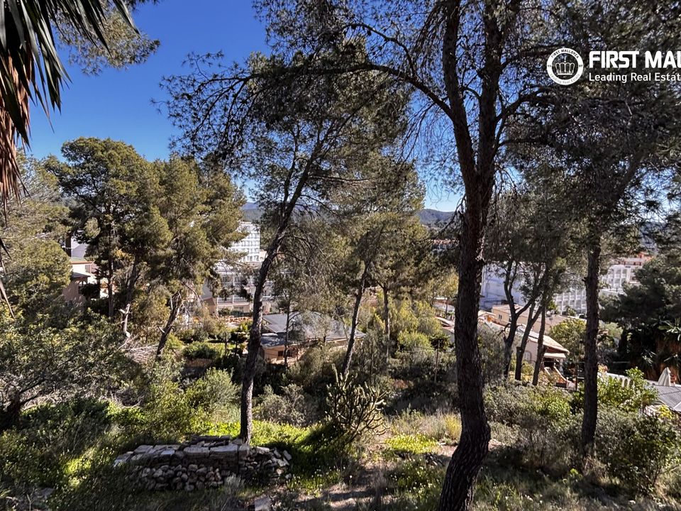Helårsgrund i Peguera, Mallorca - foto 1