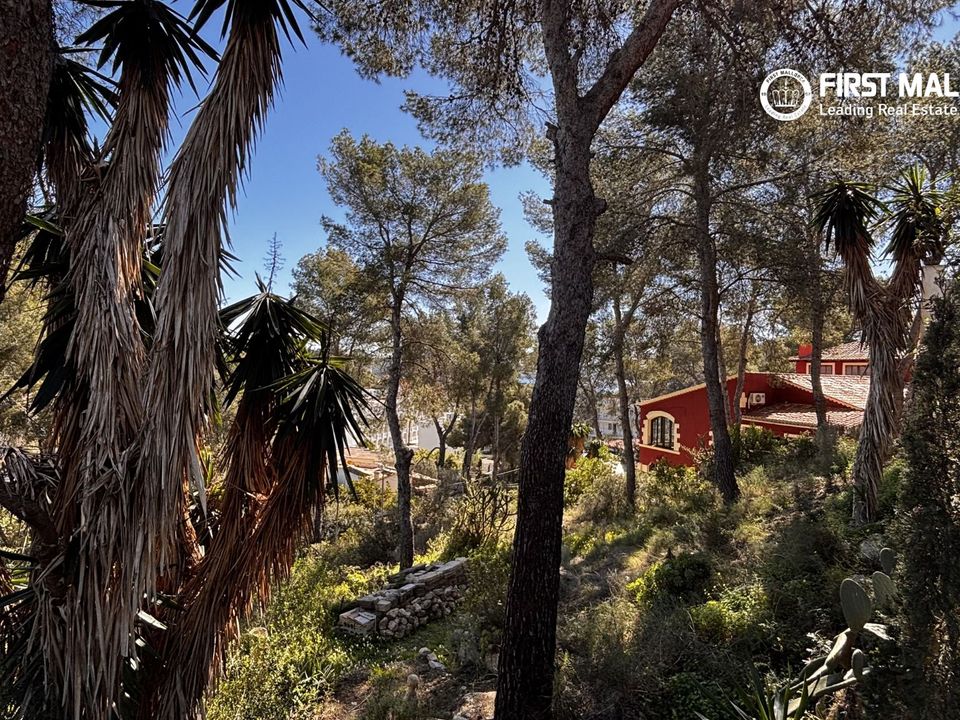 Helårsgrund i Peguera, Mallorca - foto 2