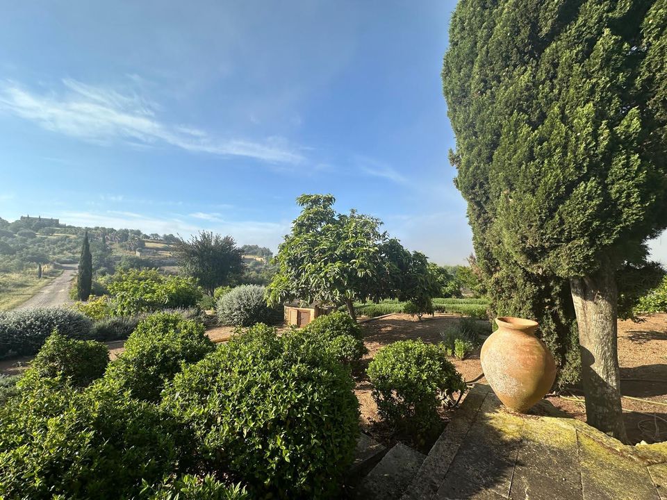 Landejendom i Lloret De Vistalegre, Mallorca - foto 2