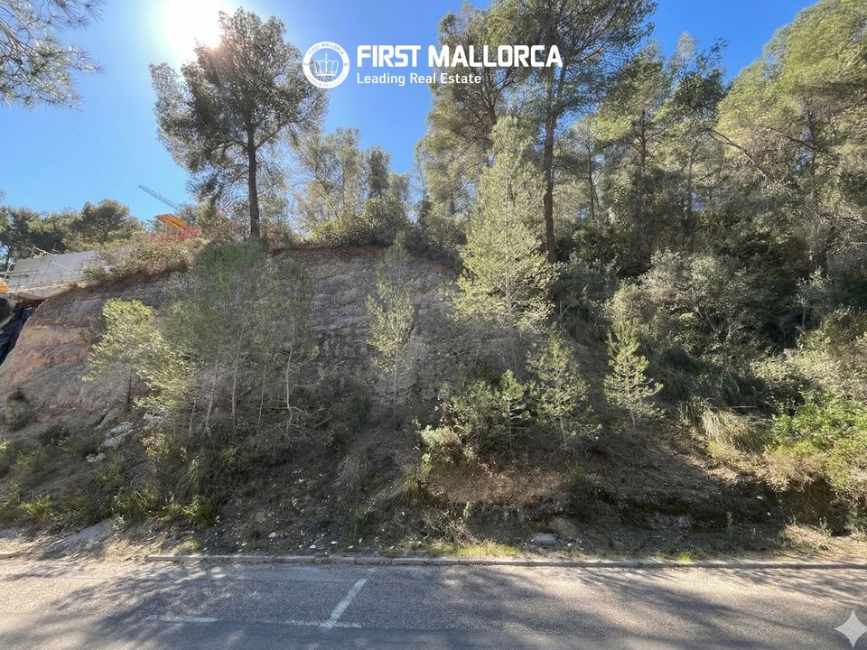 Helårsgrund i Costa D'en Blanes, Mallorca - foto 3