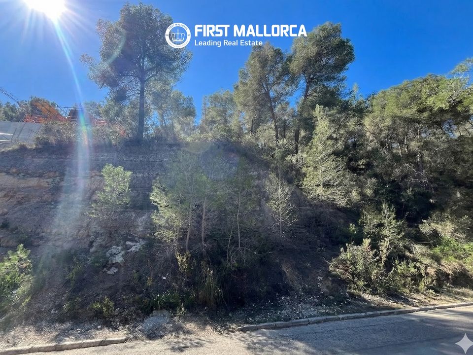 Helårsgrund i Costa D'en Blanes, Mallorca - foto 4