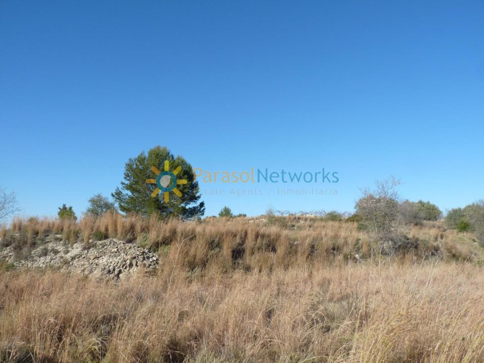 Helårsgrund i Castello De Rugat, Valencia - foto 2