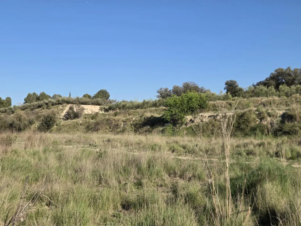 Helårsgrund i Montaverner, Valencia - foto 2