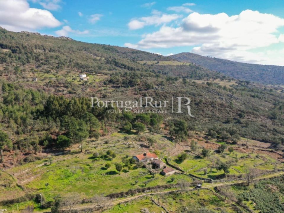 Gård i Castelo de Vide, Portalegre - bilde 1