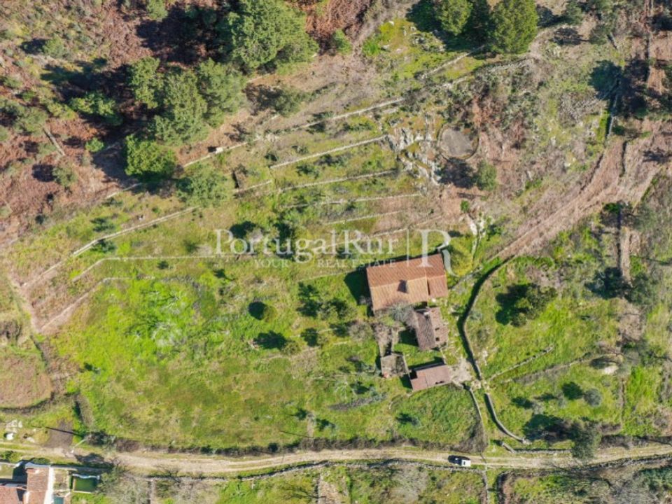 Gård i Castelo de Vide, Portalegre - bilde 2