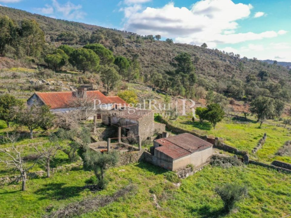 Gård i Castelo de Vide, Portalegre - bilde 5