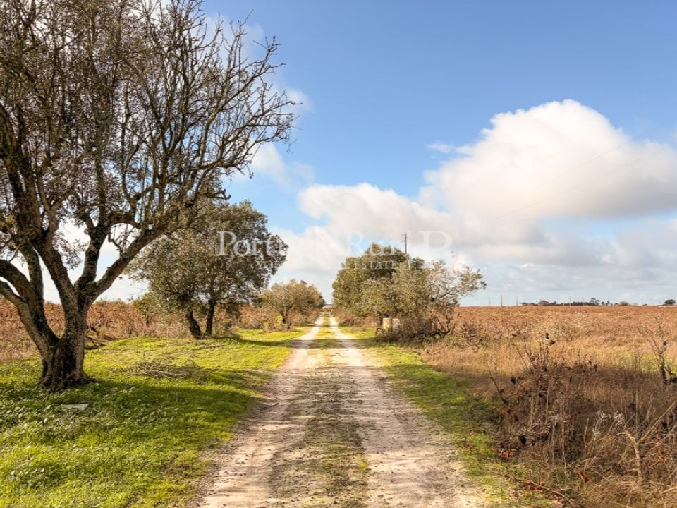 Helårsgrund i Palmela, Setubal - foto 1