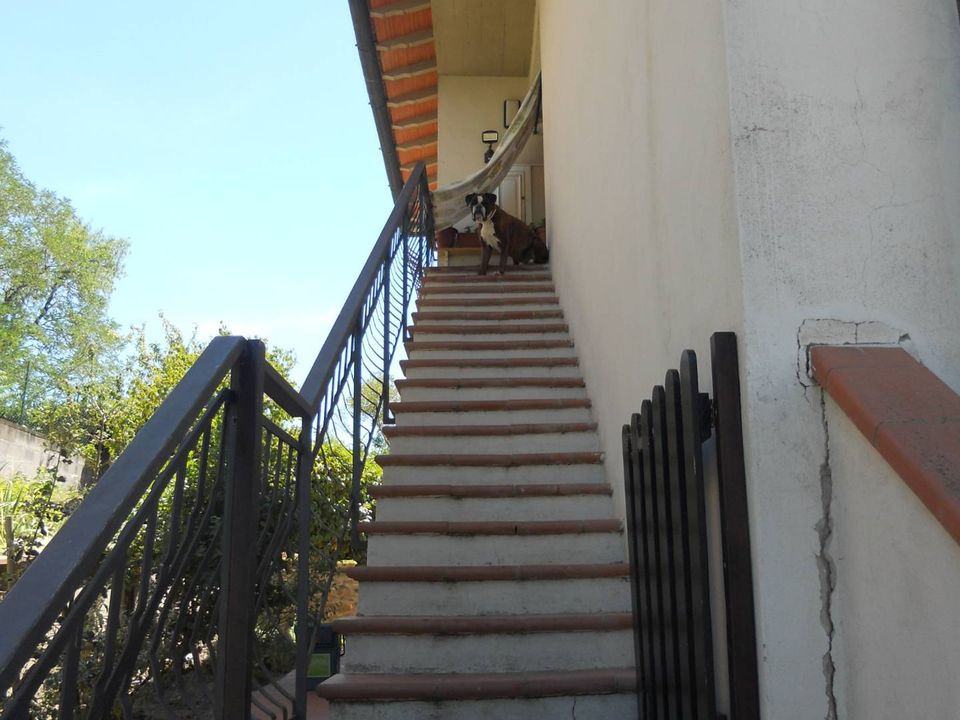 Lejlighed i Montespertoli, Florence - foto 2
