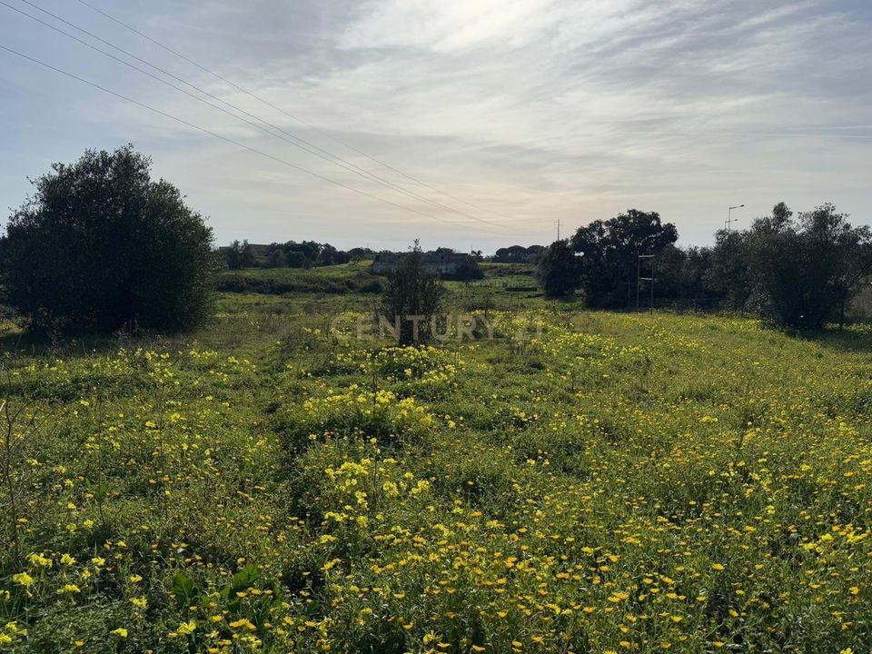 Helårsgrund i Montijo, Setubal - foto 5