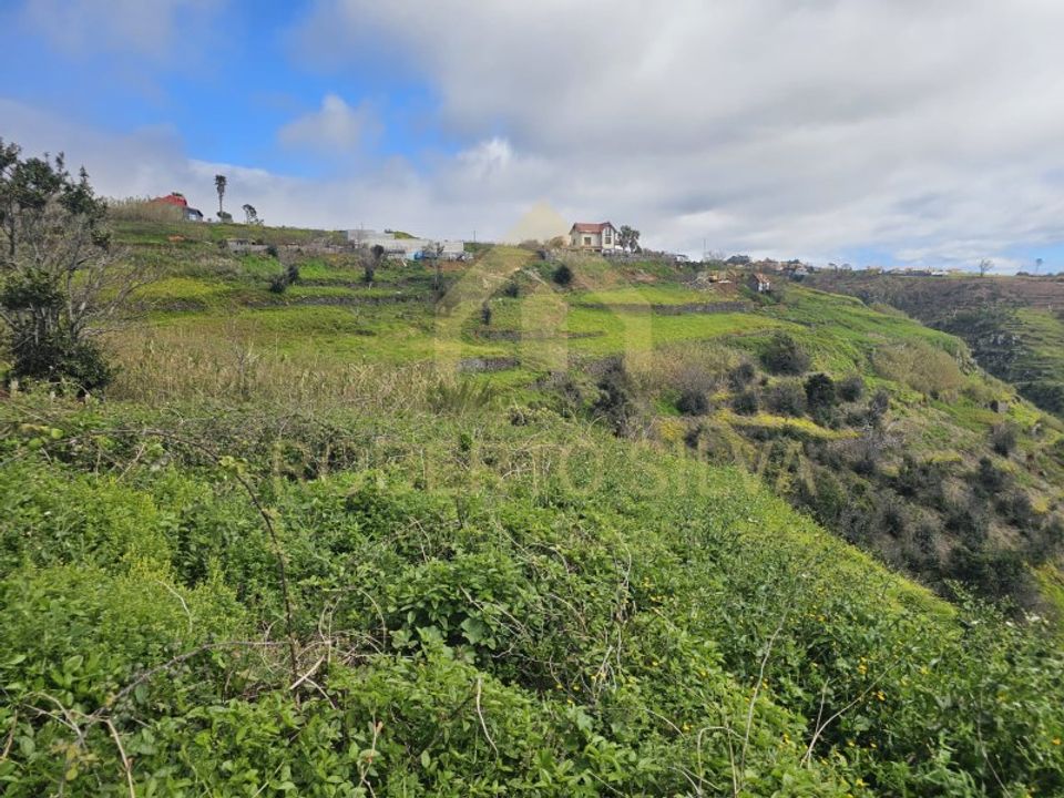 Helårsgrund i Calheta, Madeira - foto 2
