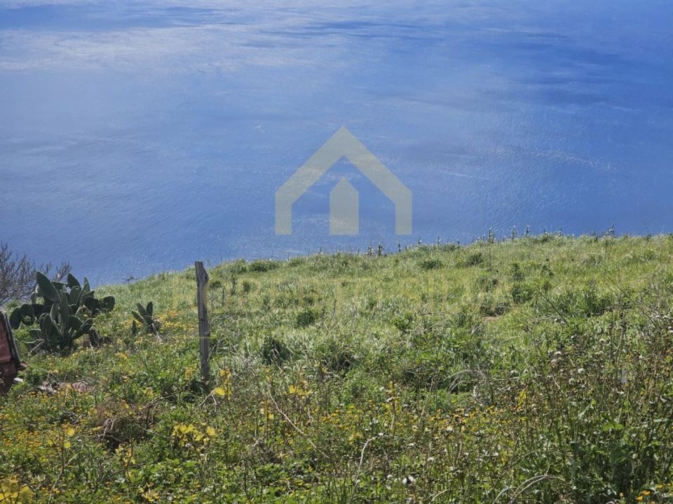 Helårsgrund i Calheta, Madeira - foto 5