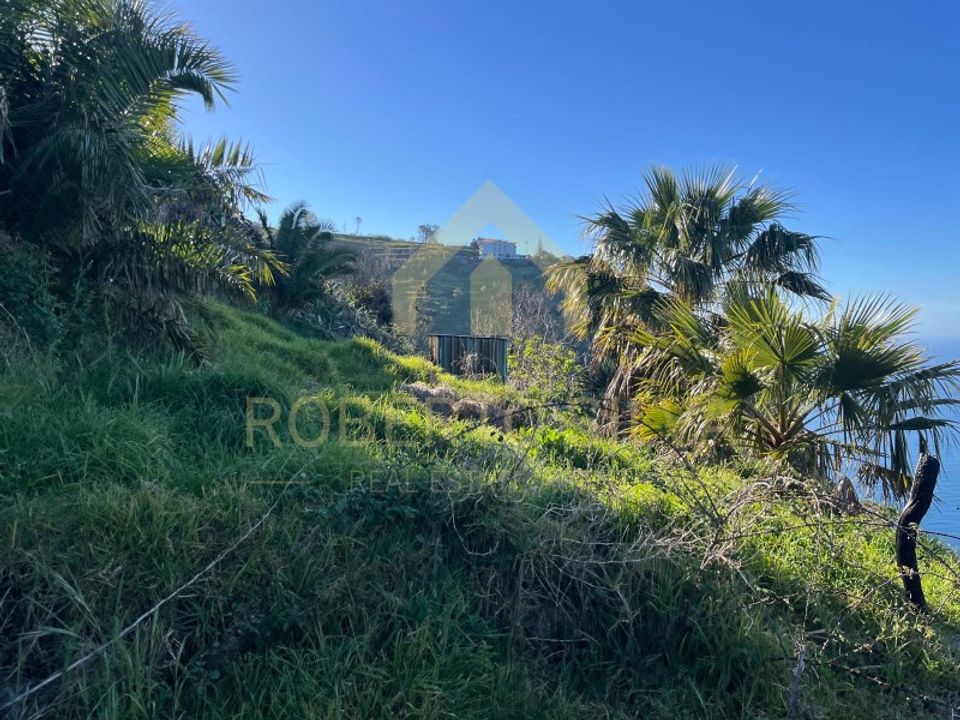 Helårsgrund i Calheta, Madeira - foto 4